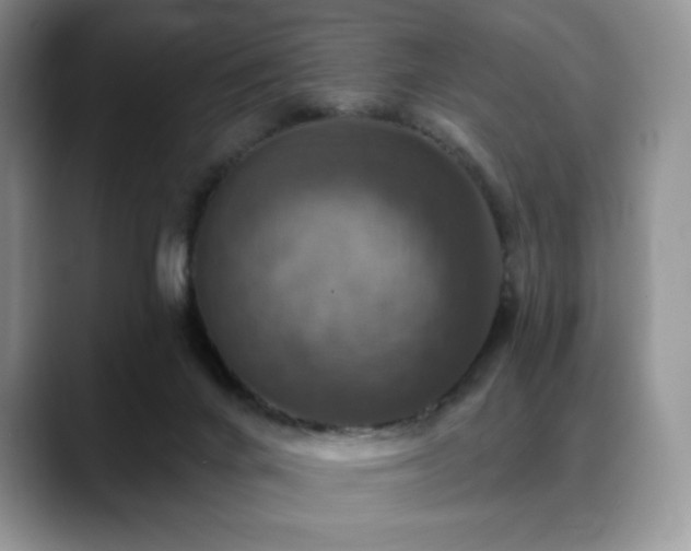 X0000088850024200706081143