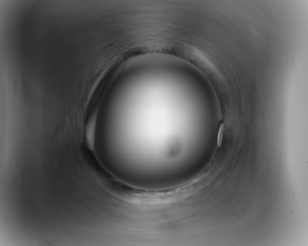 X0000088850025200706081143