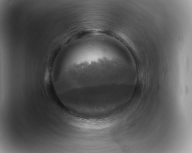 X0000088850026200706081143