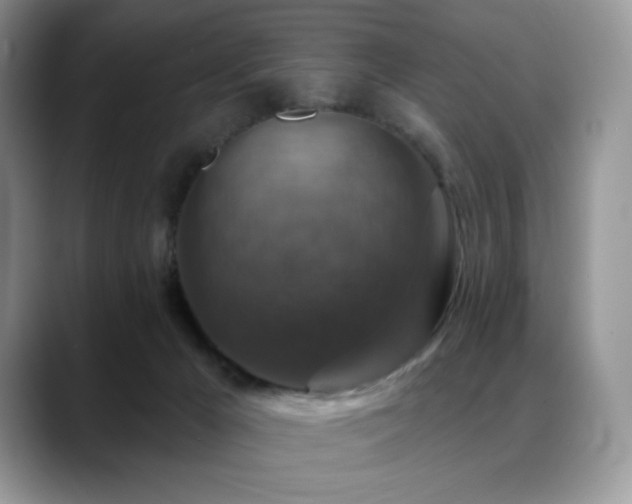 X0000088850029200706081143
