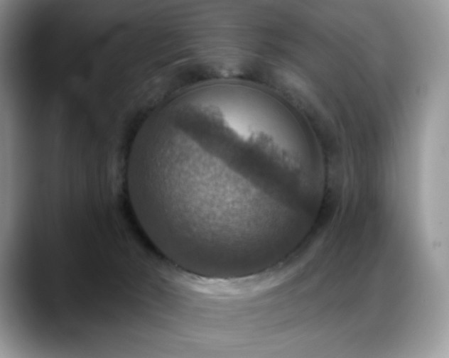 X0000088850030200706081143