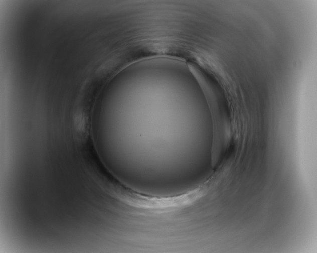 X0000088850031200706081143