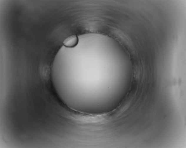 X0000088850036200706081143