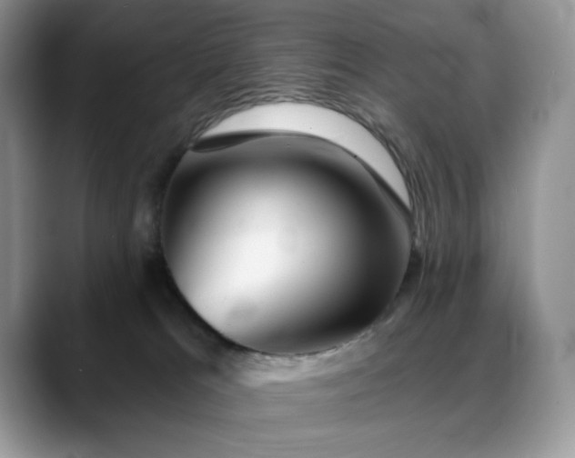 X0000088850037200706081142