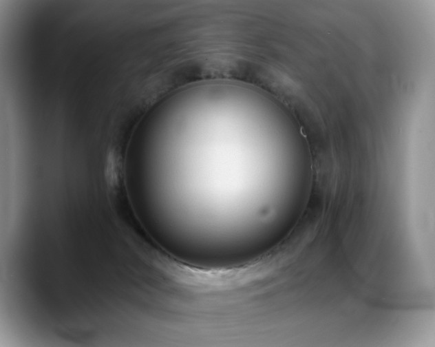 X0000088850038200706081142