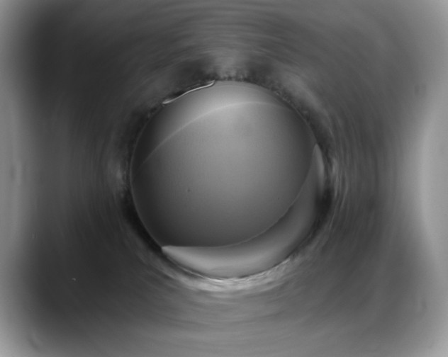 X0000088850039200706081142