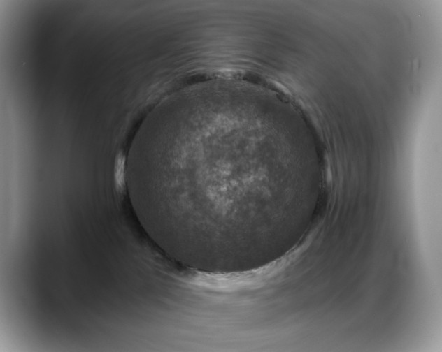 X0000088850041200706081142