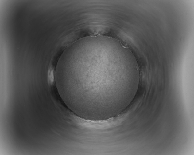X0000088850042200706081142