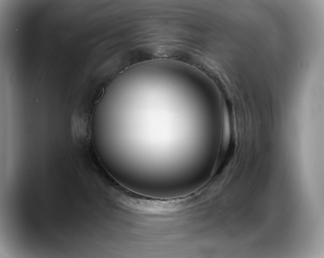 X0000088850044200706081142