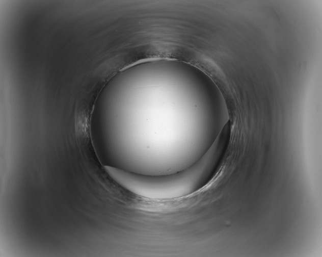 X0000088850045200706081142