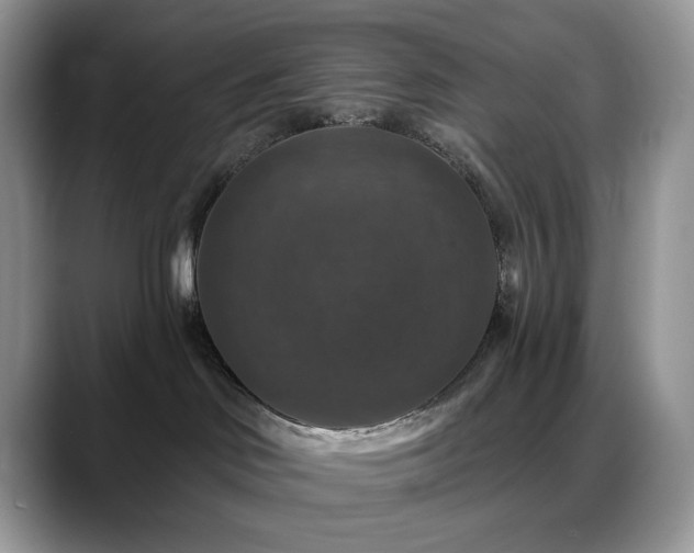 X0000088850046200706081142