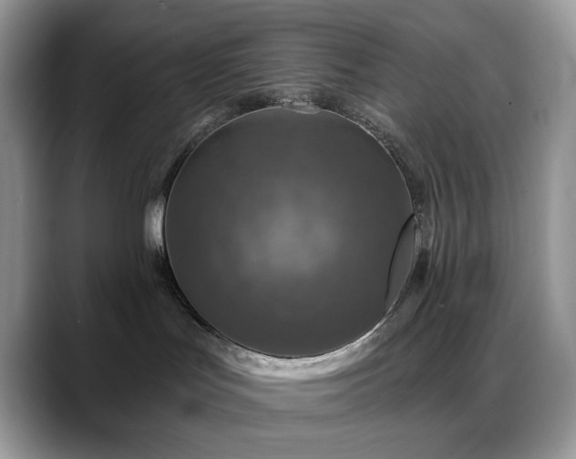 X0000088850047200706081142