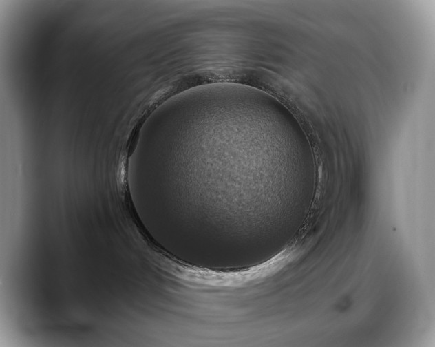 X0000088850048200706081142