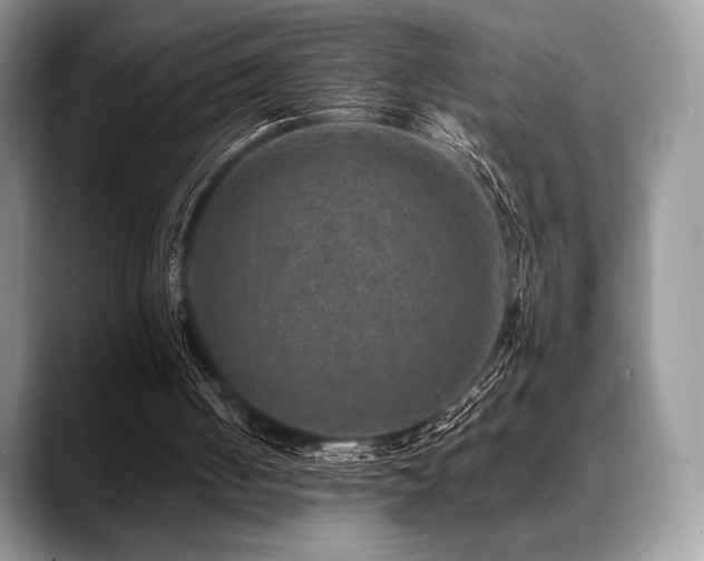 X0000088850050200706081142