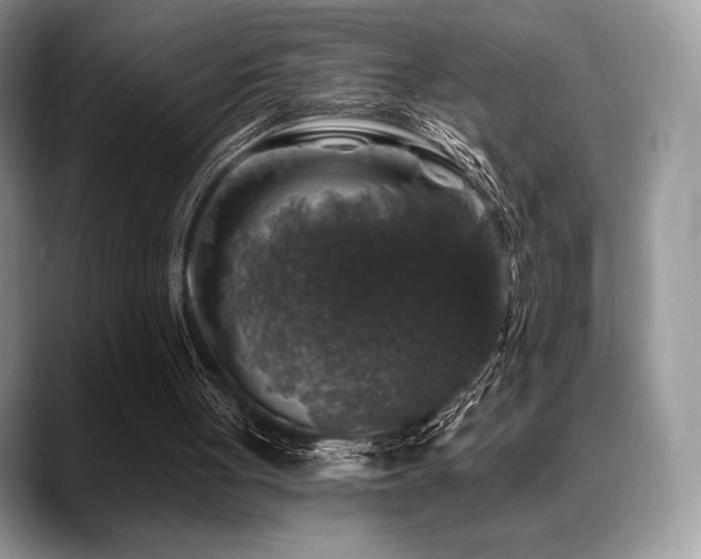 X0000088850051200706081142