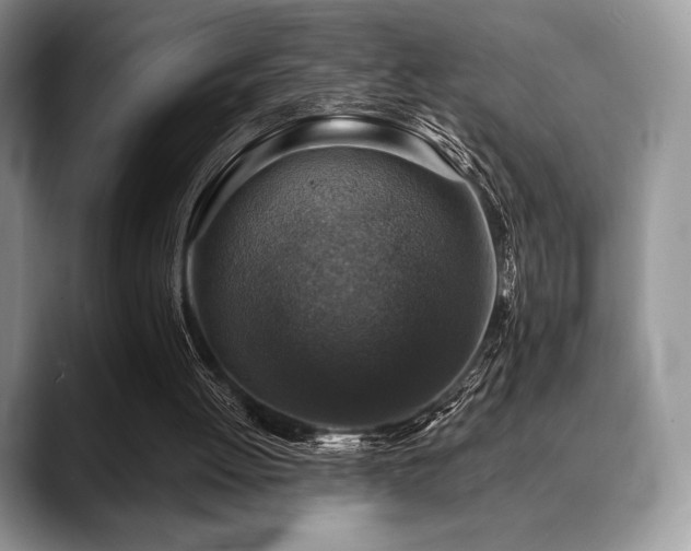 X0000088850052200706081142