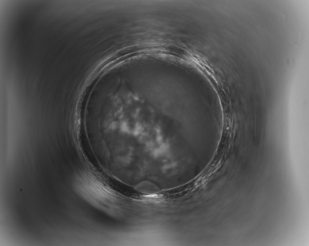 X0000088850053200706081142
