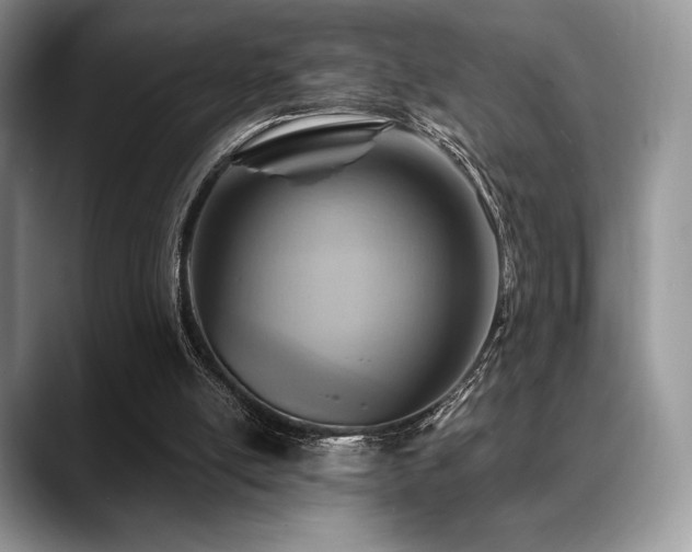 X0000088850054200706081142