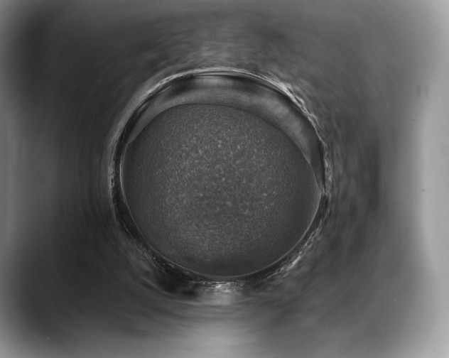 X0000088850056200706081142