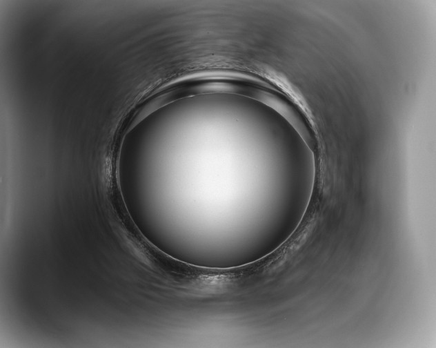 X0000088850057200706081142