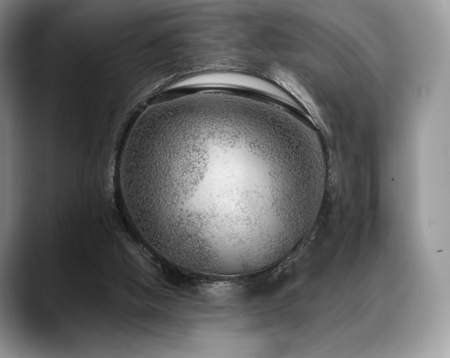 X0000088850058200706081142