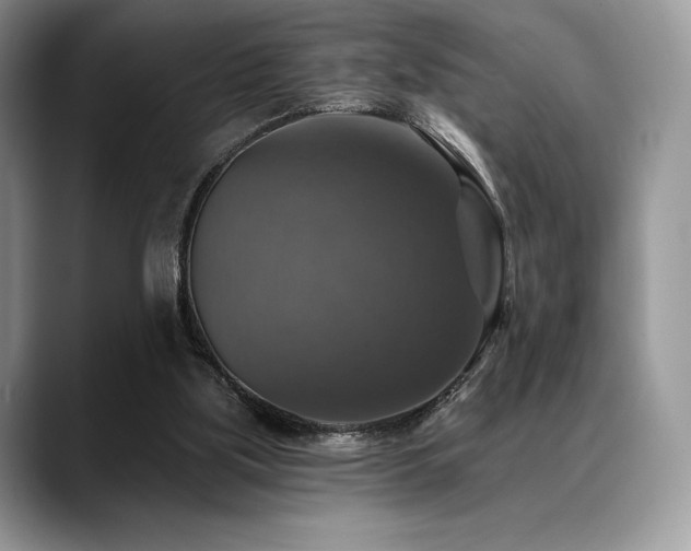 X0000088850059200706081142