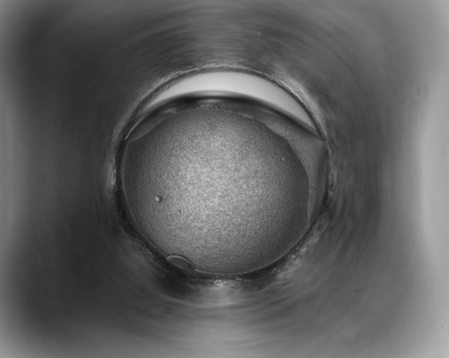 X0000088850060200706081142