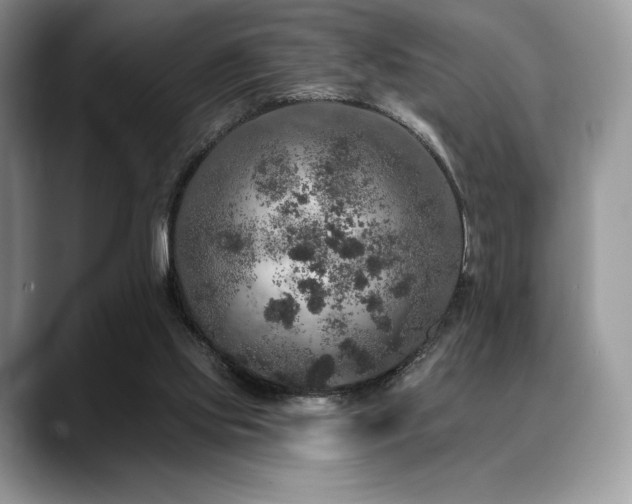 X0000088850061200706081142
