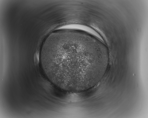 X0000088850062200706081142