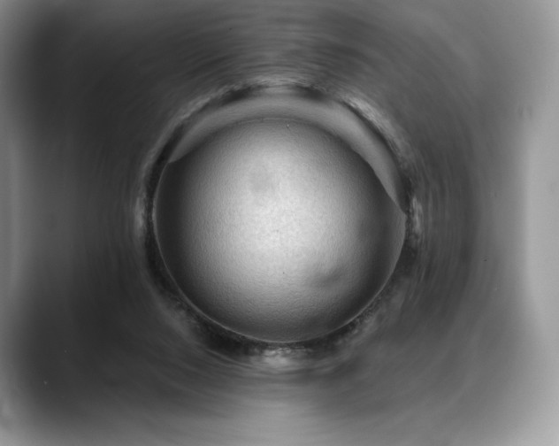X0000088850064200706081142