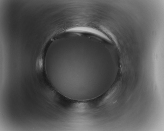 X0000088850067200706081142