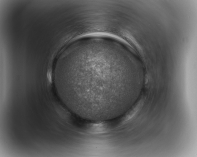 X0000088850068200706081142