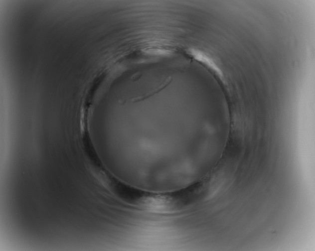 X0000088850069200706081142