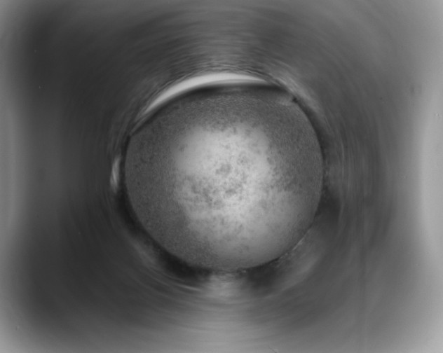 X0000088850070200706081142