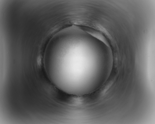 X0000088850071200706081142