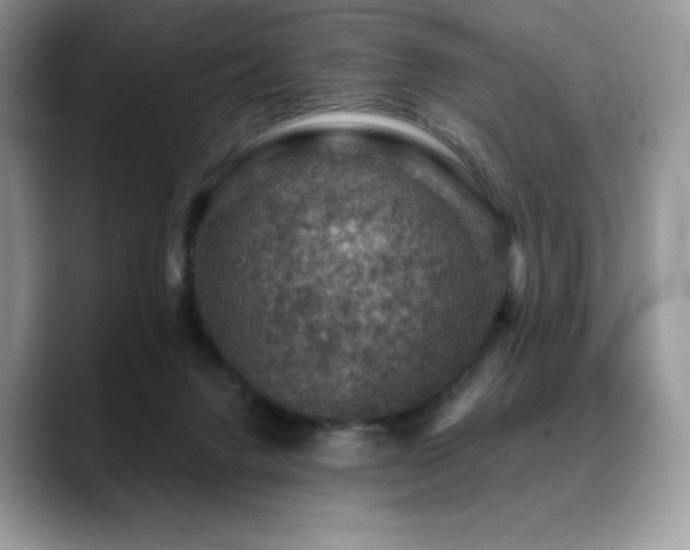 X0000088850072200706081142
