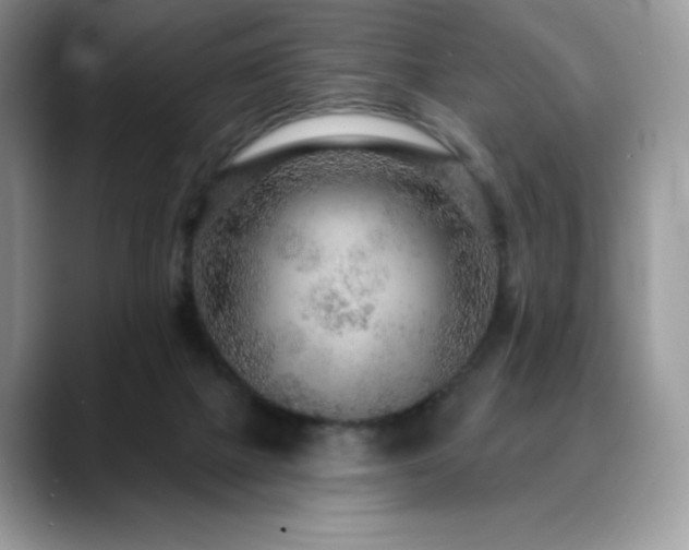 X0000088850073200706081142