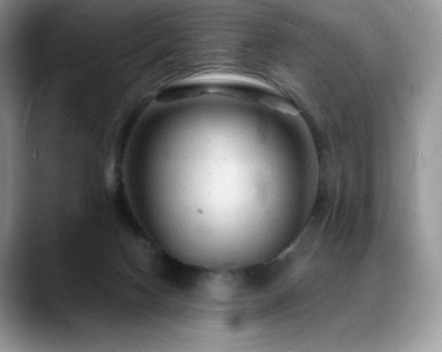 X0000088850074200706081142