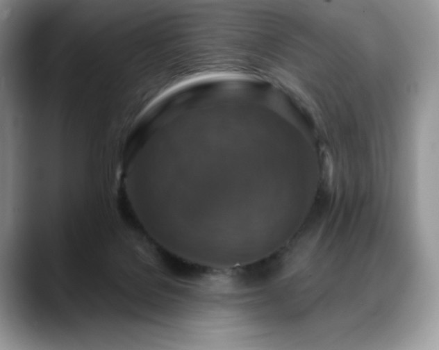 X0000088850076200706081142