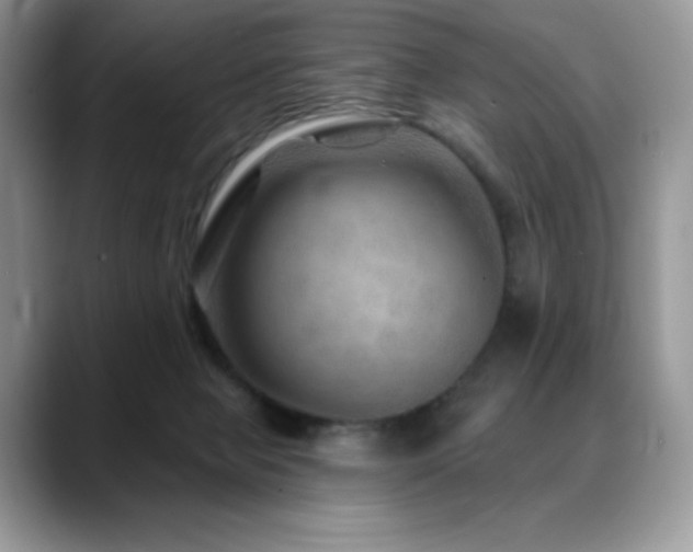 X0000088850077200706081142