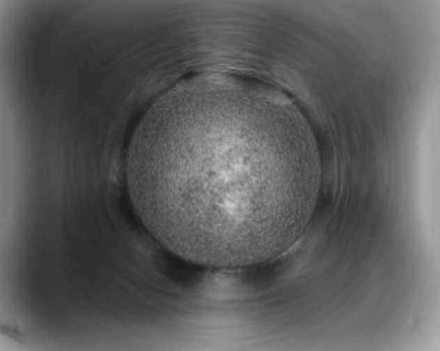 X0000088850078200706081142