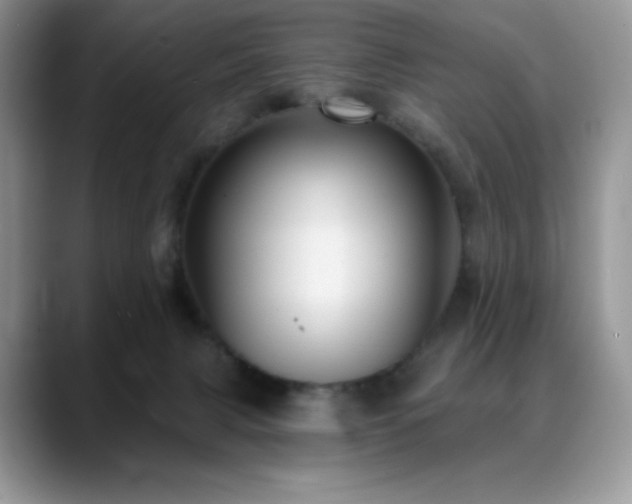 X0000088850079200706081142