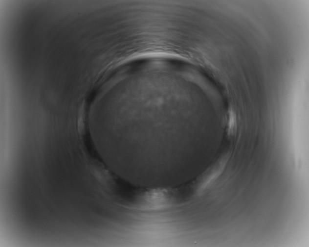 X0000088850080200706081142