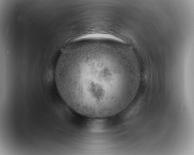 X0000088850081200706081142