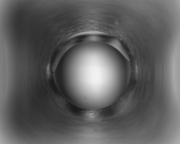 X0000088850088200706081142