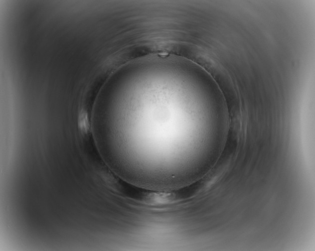 X0000088850089200706081142