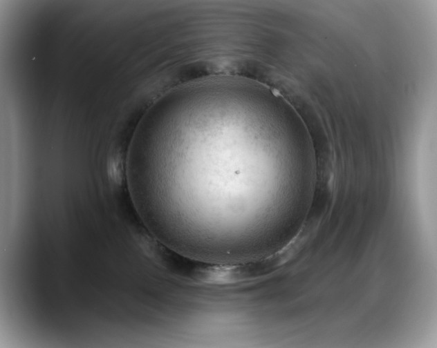 X0000088850090200706081142