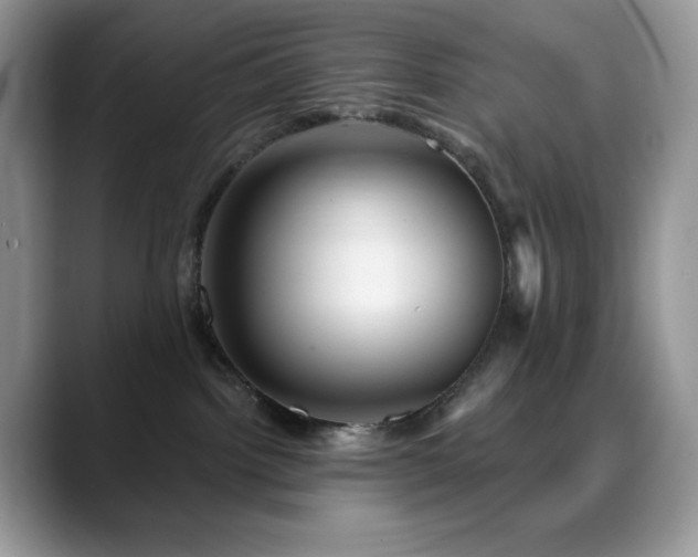 X0000088850092200706081142