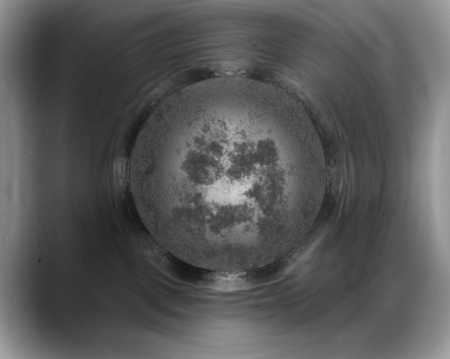 X0000088850093200706081142