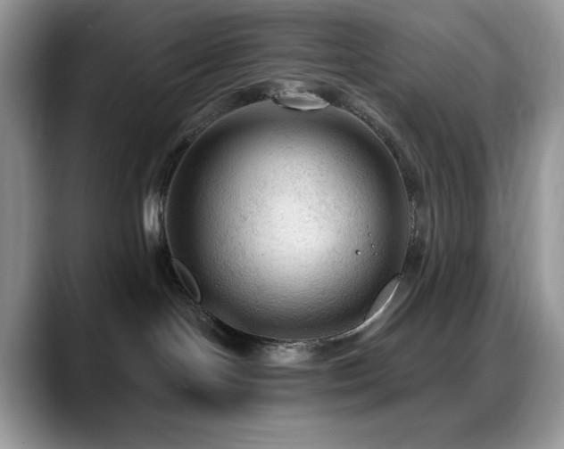 X0000088850094200706081142